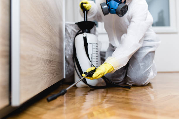 Best Wildlife Control Services  in Corrales, NM