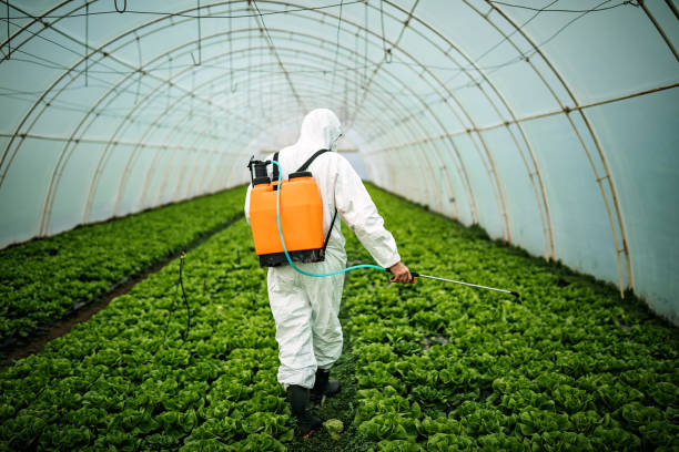 Best Pest Removal Services  in Corrales, NM