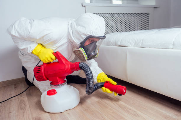 Best Mosquito Control Services  in Corrales, NM