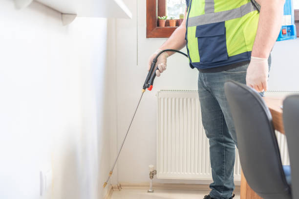 Best Pest Control Treatment  in Corrales, NM