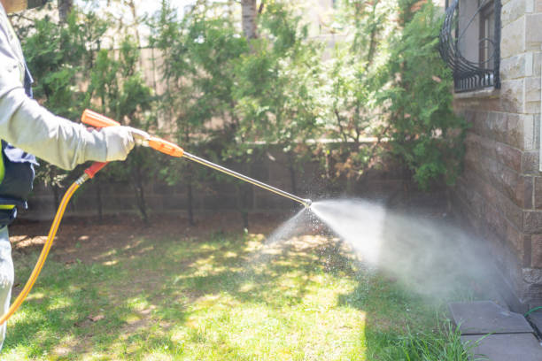 Best Commercial Pest Control Services  in Corrales, NM