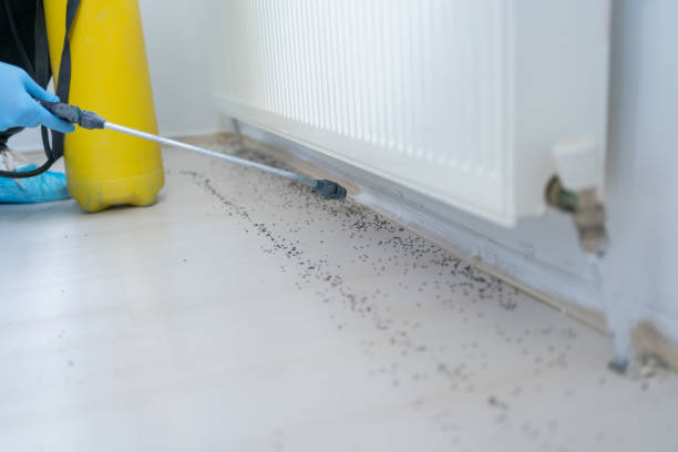 Best Best Pest Control Companies  in Corrales, NM